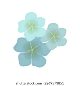 Three blue flowers. Spring vector flowers, illustration