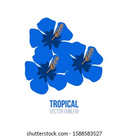 Three blue hibiscus flowers logo design. Vector illustration