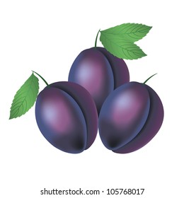 three blue plums with leaves isolated on white background