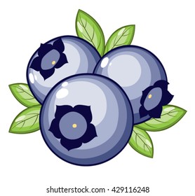 three blueberries with green leaves.
