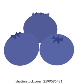 Three blueberries. Illustration material with a transparent background.