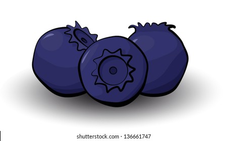 Three blueberries isolated on white