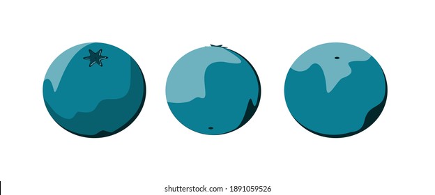 Three blueberries on a white background. Berries