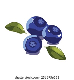 three blueberries with small leaves in flat style, in a summer mood