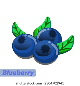 three blueberry with green leaves vector ilustration
