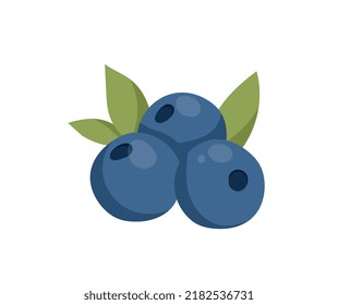 Three blueberry icon. Fresh and natural products, fruits and vegetables. Stickers for social networks, graphic elements for website. Delicious juicy berries. Cartoon flat vector illustration