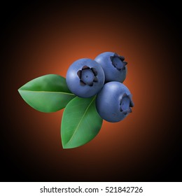 Three Blueberry with leaves. Realistic Vector illustration