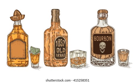 Three bottles with strong alcohol. Hand drawn whiskey and tequila in bottle and glass. Vector illustration
