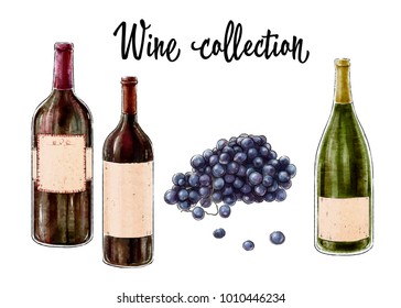 Three bottles of wine and grape cluster isolated on white background. Wine collection. Vector illustration