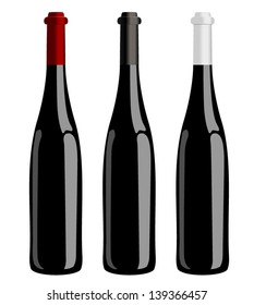 Three bottles of wine vector