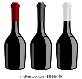 Three bottles of wine vector