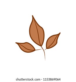 Three Branch Brown Leaf Cartoon Autumn Theme Illustration Design