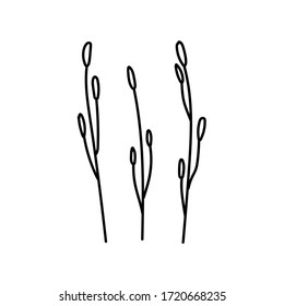 three branches with cones at the ends, three twigs black and white isolated on white background, grass, grassy, twigs set, Sanguisorba officinalis, botanical, flora