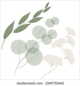 Three branches of leaves of different plants