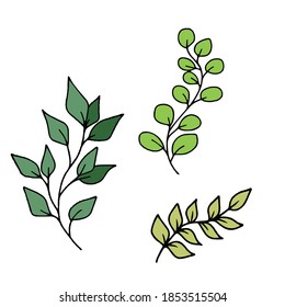 Three branches with leaves, vector children's illustration on an isolated background. For banners, postcards and stickers,