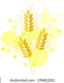 Three branches of Mature wheat grain spikes on a white background with balls and circles