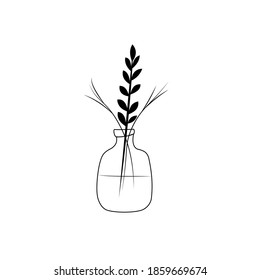 Three branches of unusual plants in transparent vase with water. Outline drawing. Black contour. Vector illustration. Design Elements.