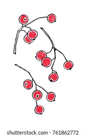 Three branches of viburnum with bright red berries. Beautiful hand drawn nature illustration.