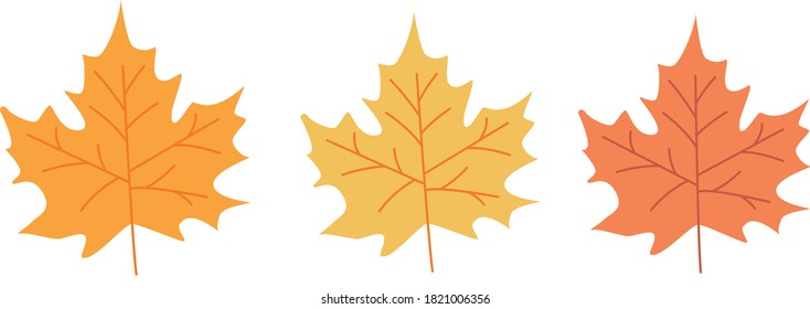 Three bright autumn maple leaves