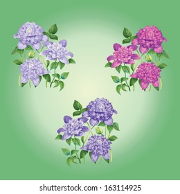 three bright bouquets of clematises on a green background