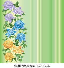 three bright bouquets of clematises on a green background in a lines