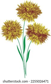 Three bright yellow flowers. Vector file for designs.