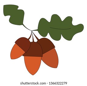 Tres ilustraciones vectoriales de bellota marrón sobre fondo blanco