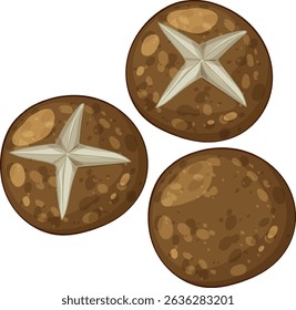 Three brown cookies with star anise design, featuring a textured surface and warm color palette in vector style