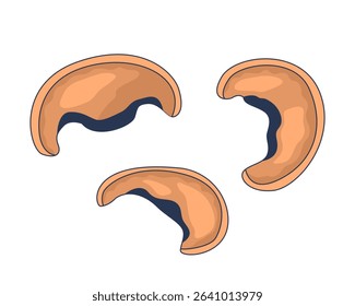 Three brown mushroom caps sliced 2D cartoon object. Edible fungi. Cooking ingredients. Vegan protein. Earthy flavor. Natural food isolated element flat vector clip art on white. Spot illustration