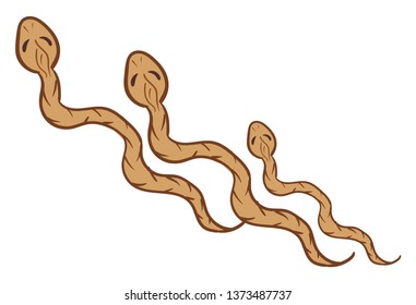 Three brown serpents crawling over white background looks terrifying vector color drawing or illustration 