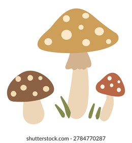 Three brown spotted mushrooms toxic forest toadstool decoration asset flat vector illustration