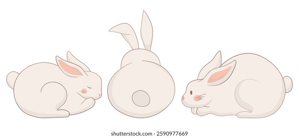 Three bunny icon set. One rabbit is sleeping, another lies down, and the third is shown from behind with perked ears. A minimalist and calming animal illustration