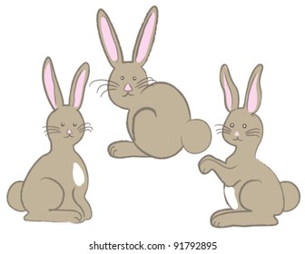 Three  Bunny Rabbits