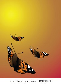 Three Butterflies flying on a warm day.  A background vector image.