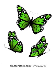 Three butterflies in green tones. Vector