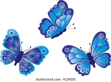 Three butterflies on a white background
