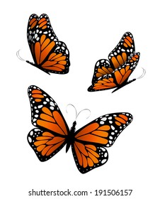 Three butterflies in orange tones. Vector