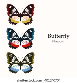 Three butterflies. Vector set.