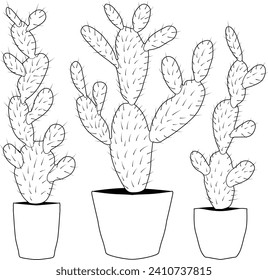 Tres libros de cactus coloridos. Cactus en una olla. Plantas de casa en ollas.