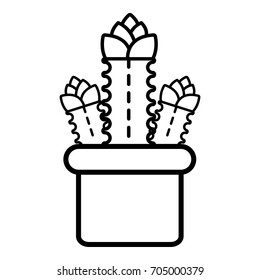 Three cactus icon. Outline illustration of three cactus vector icon for web