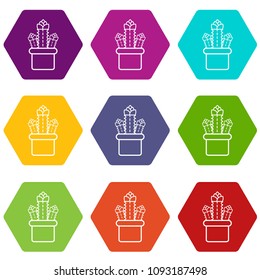 Three cactus icons 9 set coloful isolated on white for web