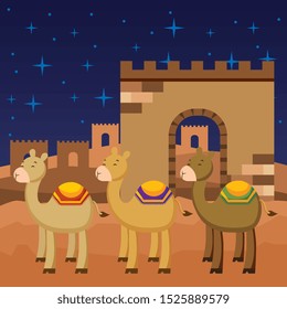 three camels cartoons. in the night vector