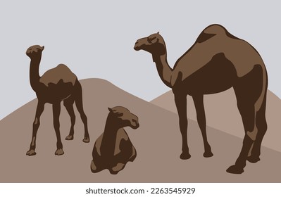 Three camels in desert. Landscape of desert