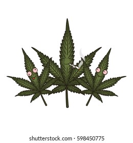 Three cannabis leafs. Cartoon comic character. 