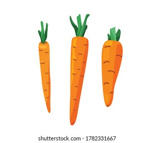 Three carrots with cut leaves in bright color cartoon flat style isolated on white background. Healthy food vector illustration. Organic meal concept.