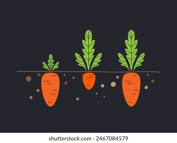Three Carrots with different size and leaves. Vector Illustration