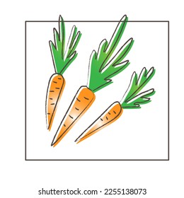 Three carrots in doodle style. Color vector illustration with gradient. Contour with a textured line. A healthy orange vegetable. Vegetarianism, harvest, diet, vitamins. Modern fashion design