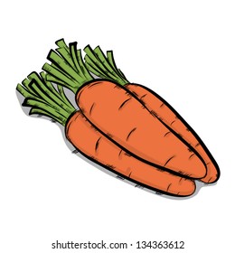 three carrots, vector cartoon, isolated on white background, sketching style illustration