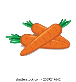three carrots vegetable illustration on white background vector design