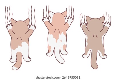 Three cartoon cats scratch a white background. Cute cats series.